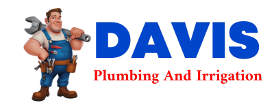 Trusted plumber in SENTINEL